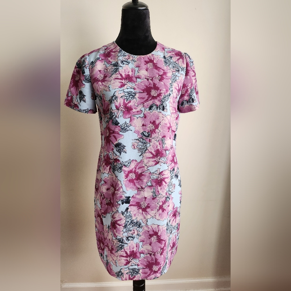 Babaton Aritzia Floral Shirt Dress